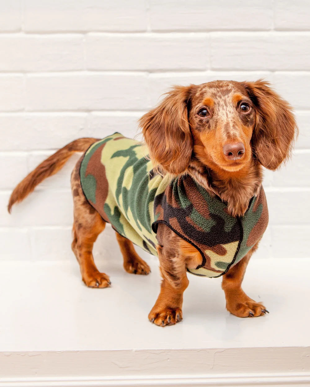 DOG STRETCH FLEECE | Goldpaw: Camo