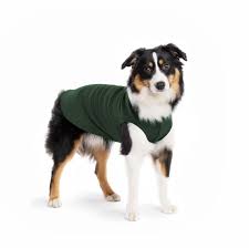 DOG STRETCH FLEECE | Goldpaw: Hunter Green