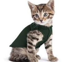 DOG STRETCH FLEECE | Goldpaw: Hunter Green