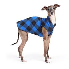 DOG STRETCH FLEECE | Goldpaw: Cobalt Buffalo Plaid