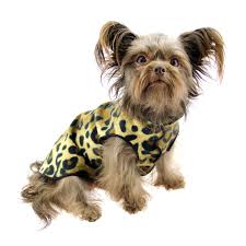 DOG STRETCH FLEECE | Goldpaw: Leopard