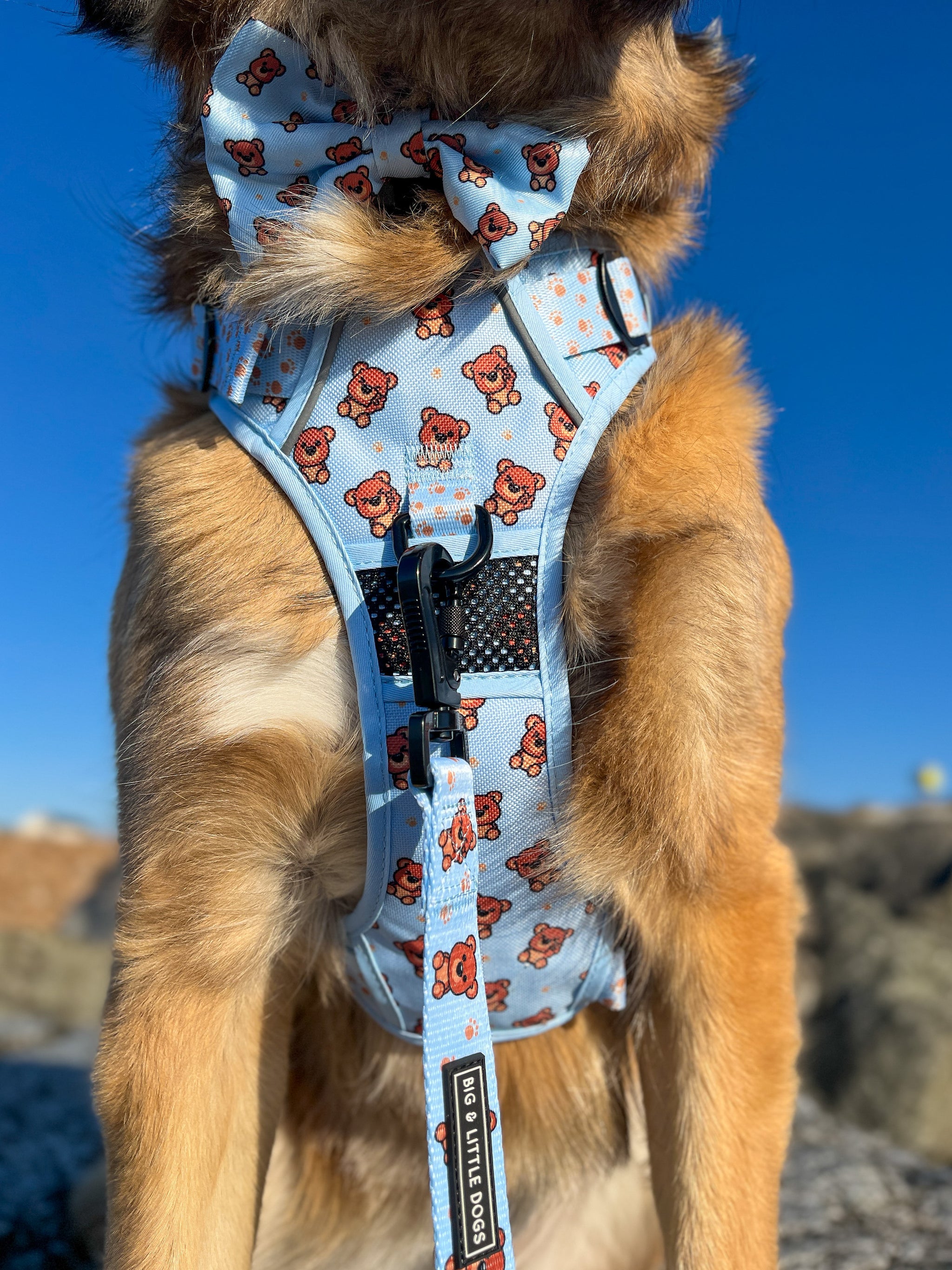 THE ALL-ROUNDER DOG HARNESS: Cuddle Club