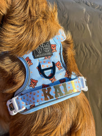 THE ALL-ROUNDER DOG HARNESS: Cuddle Club