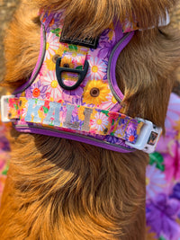 THE ALL-ROUNDER DOG HARNESS: Spring Fling