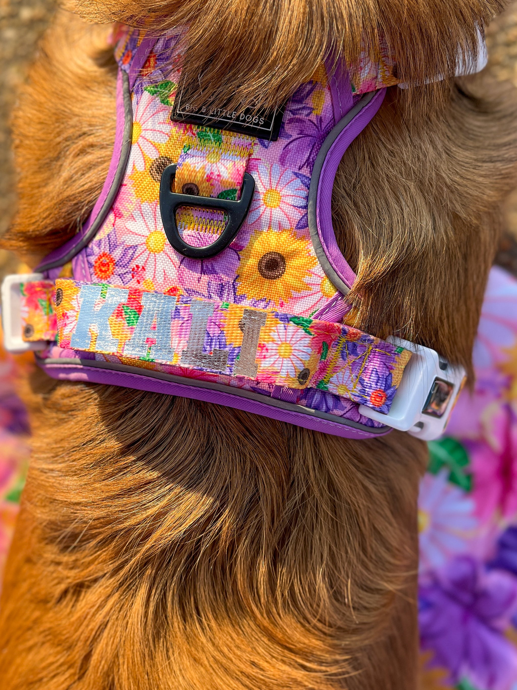 THE ALL-ROUNDER DOG HARNESS: Spring Fling