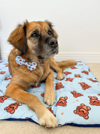 ON-THE-GO PET MAT: Cuddle Club