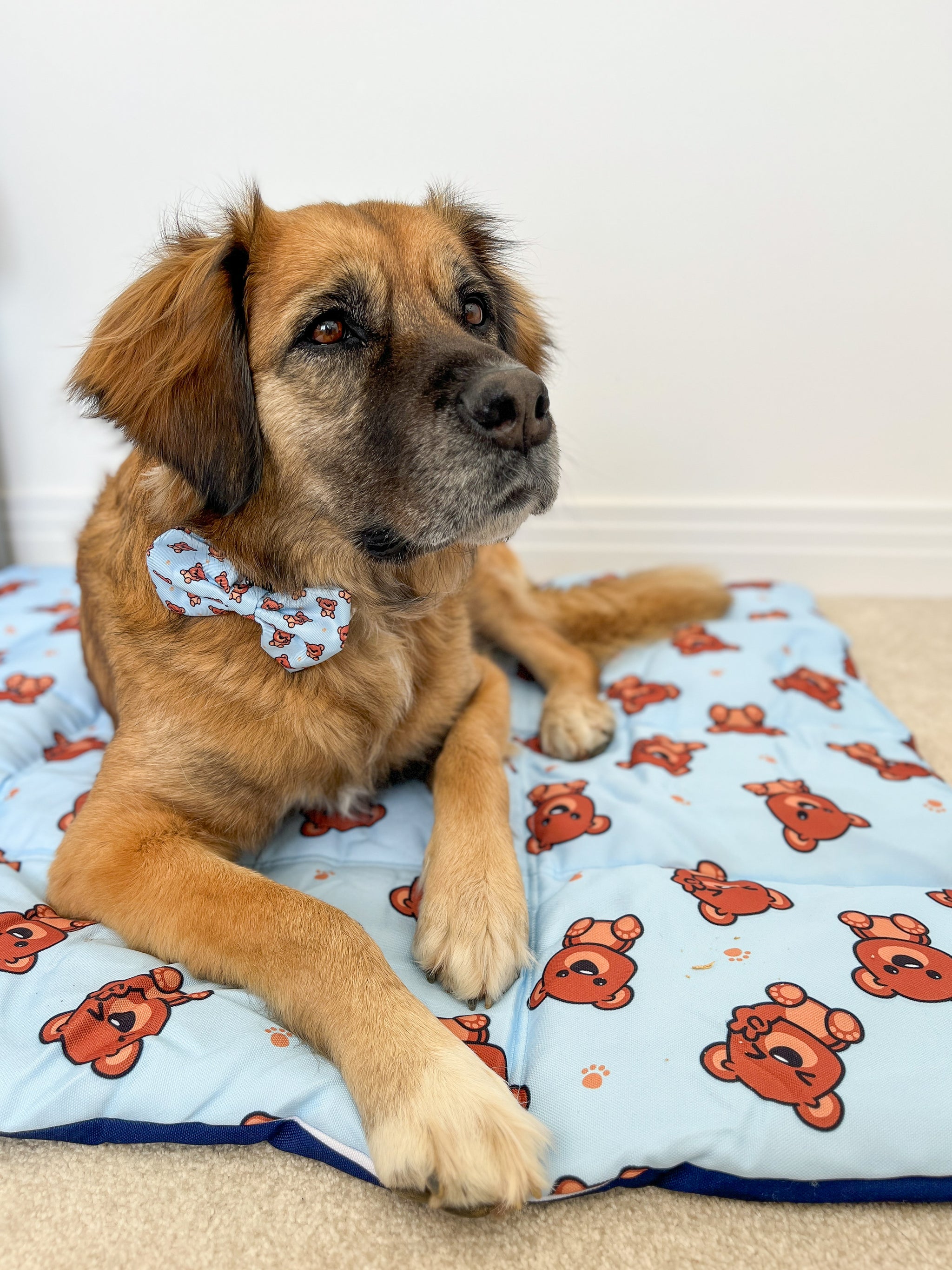 ON-THE-GO PET MAT: Cuddle Club