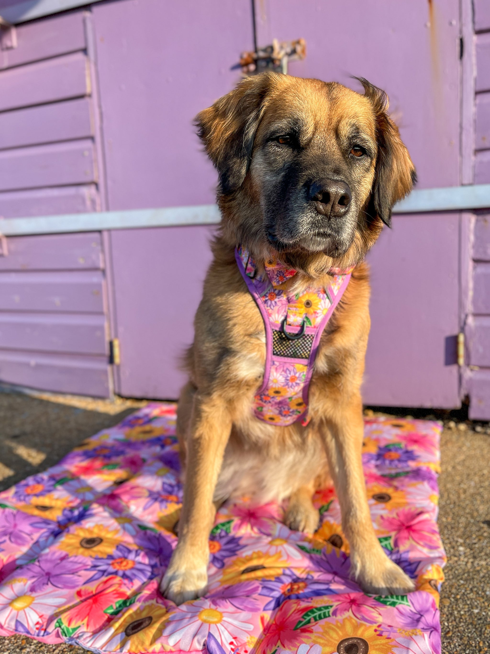 ON-THE-GO PET MAT: Spring Fling