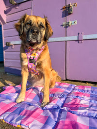 ON-THE-GO PET MAT: Spring Fling