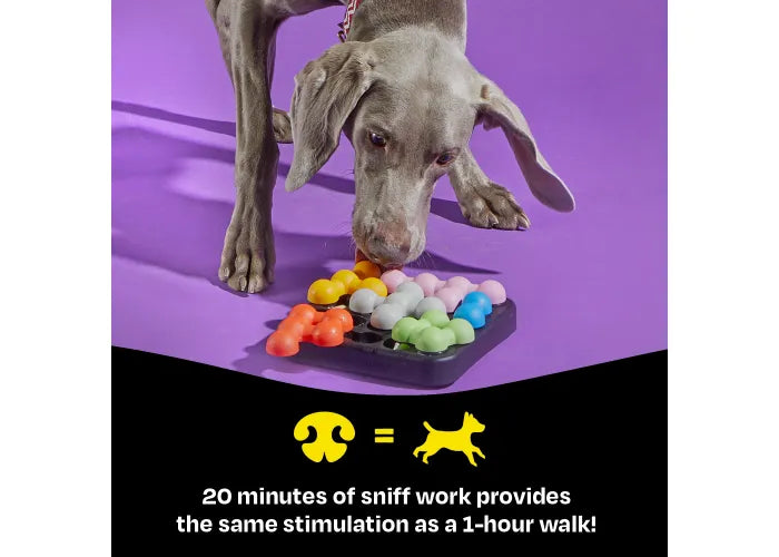 Brightkins: Kanoodle Dog Edition - Small