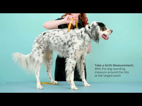 Goldpaw: DOG STRETCH FLEECE | Mulberry Plaid (NEW!)