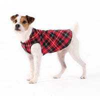 DOG STRETCH FLEECE | Goldpaw: Red Plaid