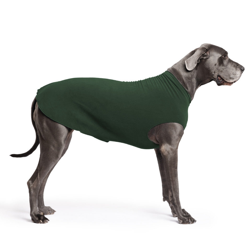DOG STRETCH FLEECE | Goldpaw: Hunter Green