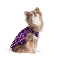 DOG STRETCH FLEECE | Goldpaw: Mulberry Plaid