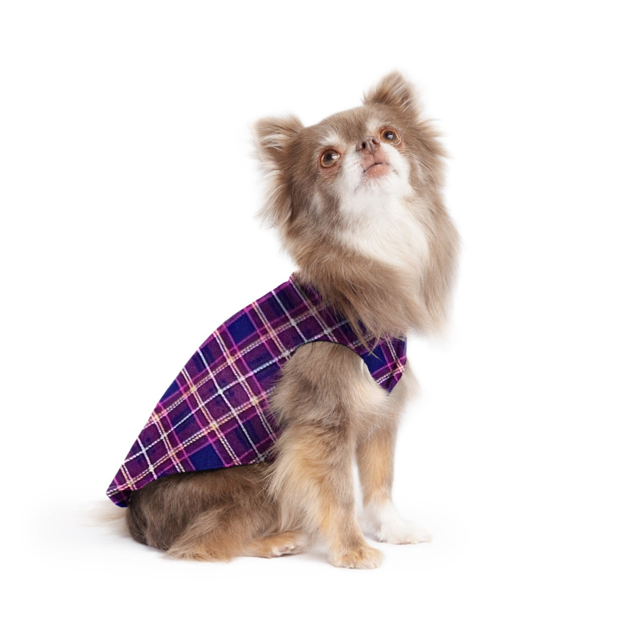 DOG STRETCH FLEECE | Goldpaw: Mulberry Plaid