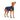 DOG STRETCH FLEECE | Goldpaw: Navy