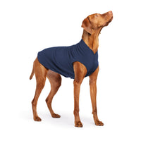 DOG STRETCH FLEECE | Goldpaw: Navy