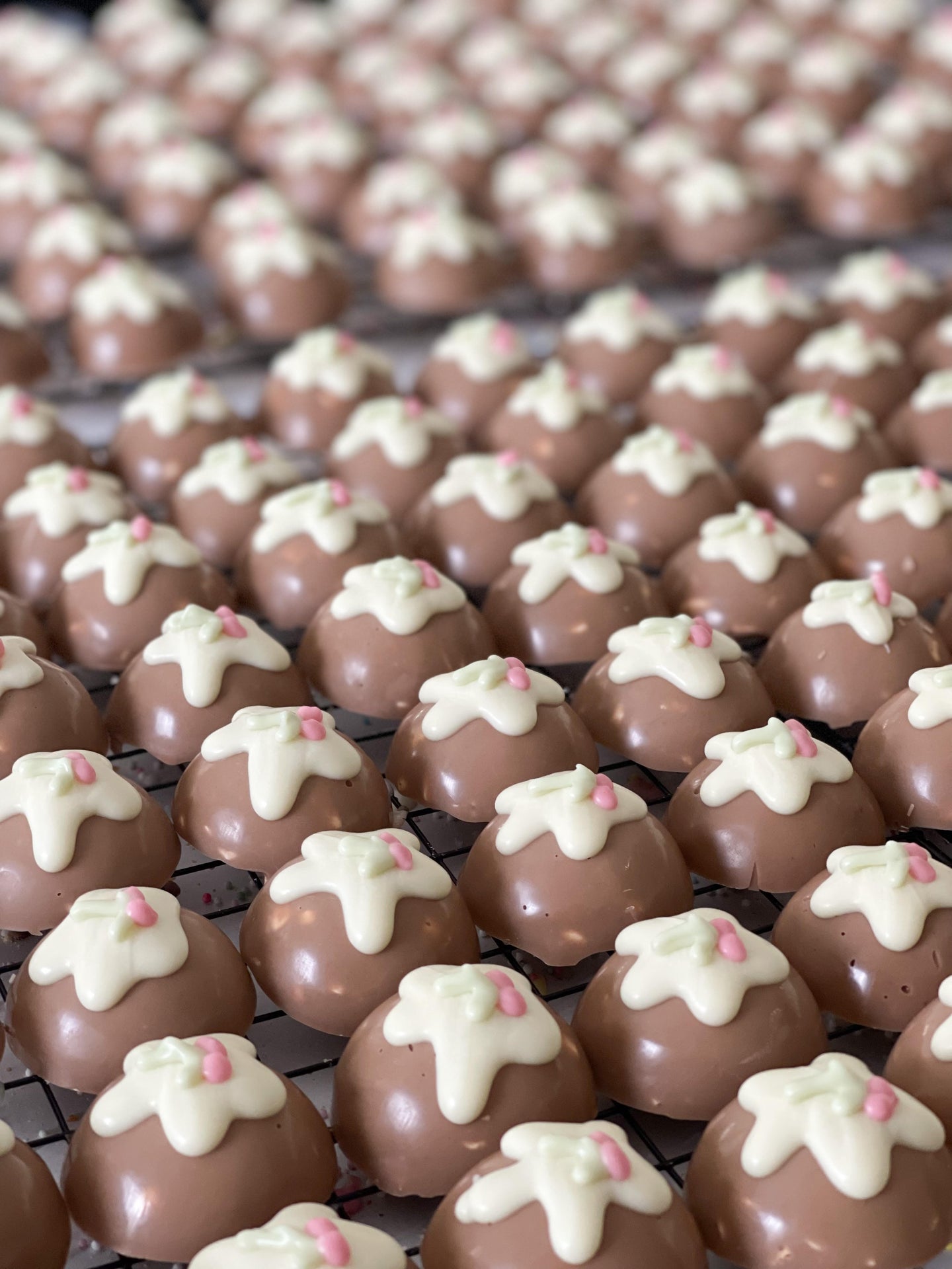 DOG TREATS | The Organic Dog Co: XL Christmas Pudding (1 Pce)