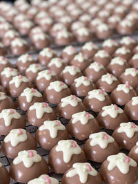 DOG TREATS | The Organic Dog Co: XL Christmas Pudding (1 Pce)