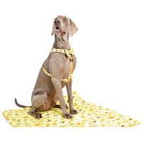 ON-THE-GO PET MAT: Bee-Hiving