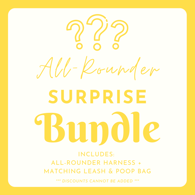 SURPRISE BUNDLE: All-Rounder Harness + Leash + Poop Bag Holder (NON-RETURNABLE)