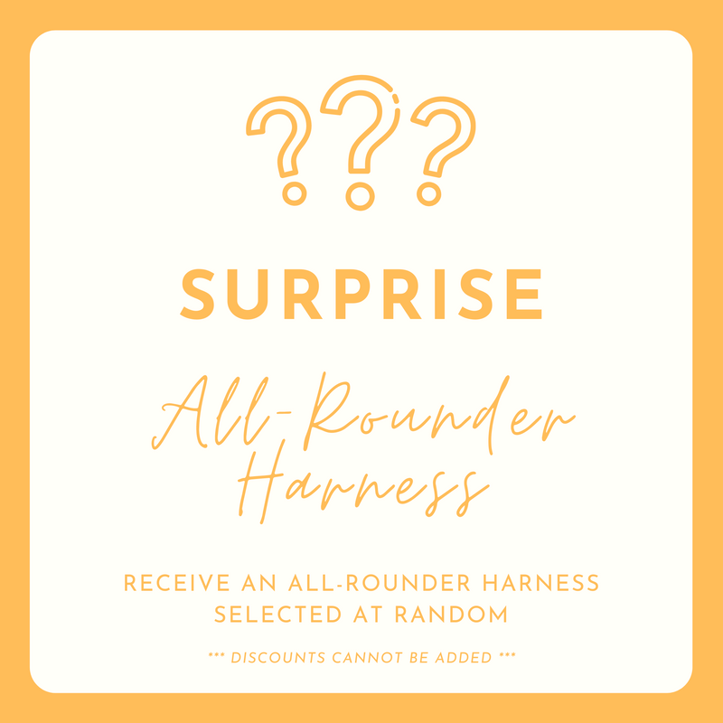 SURPRISE: All-Rounder Harness (NON-RETURNABLE)