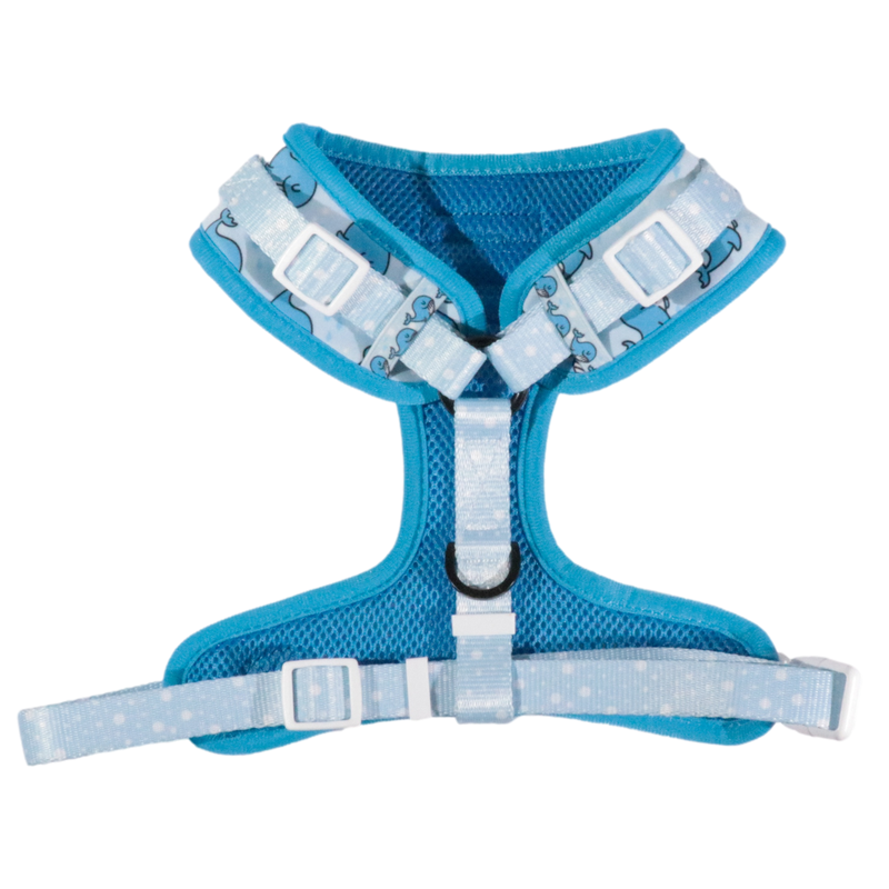 ADJUSTABLE DOG HARNESS: Whale, Hello There {FINAL SALE}