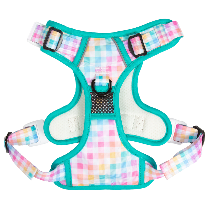 All-Rounder Dog Harness Rainbow Gingham