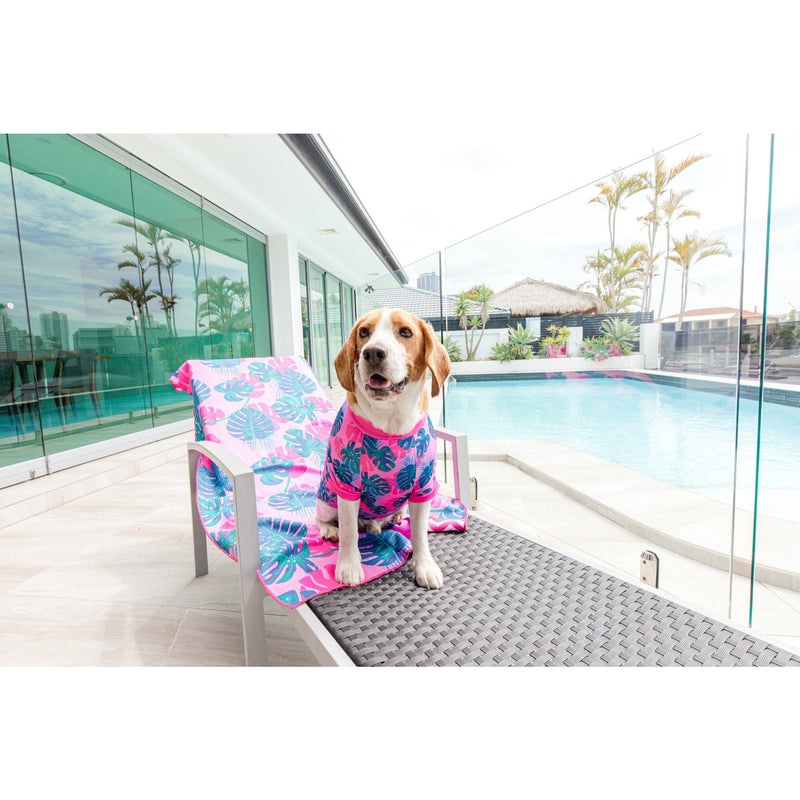 Dog Rashie UPF 50+ Ultimate Sun Protection Beachwear Summer Lovin&