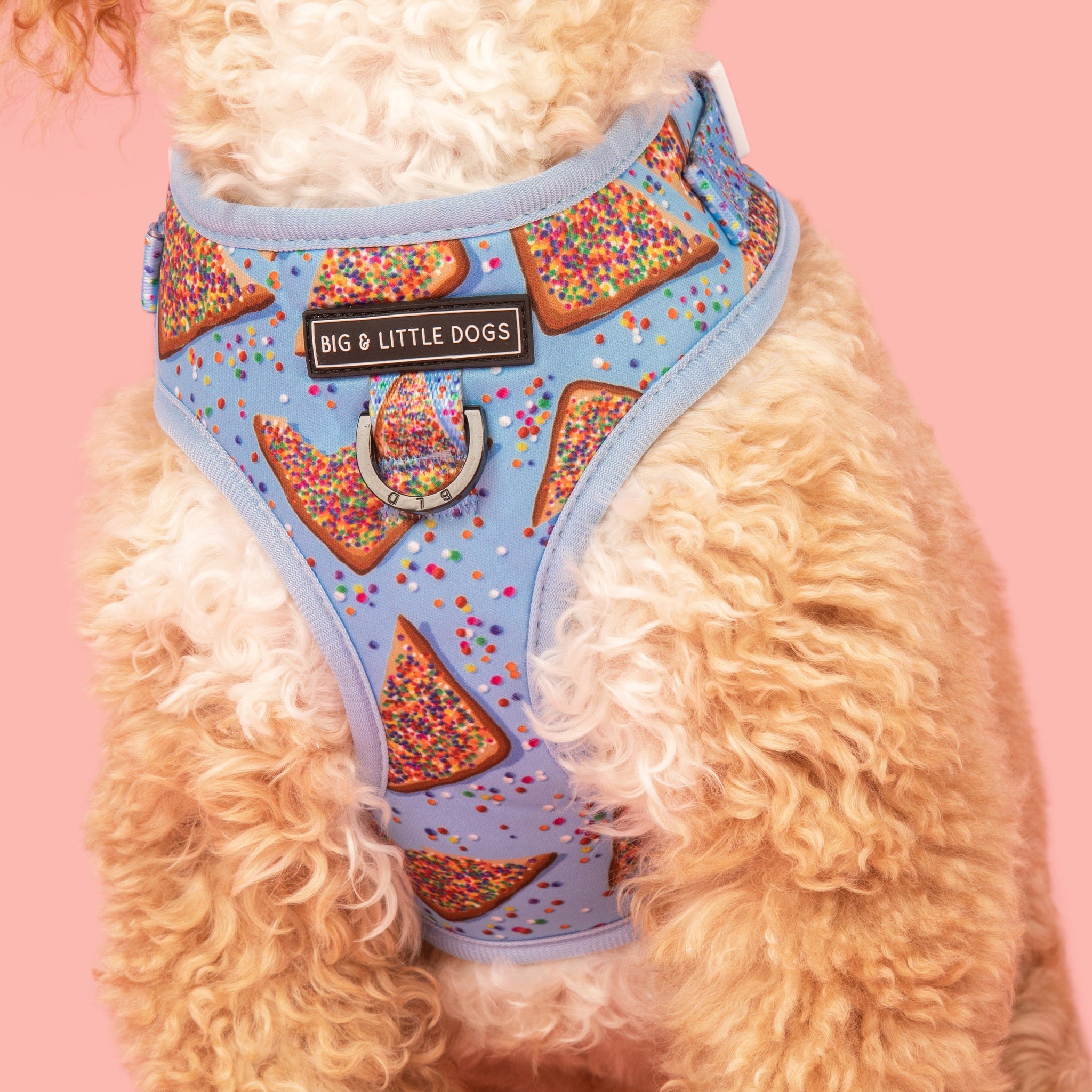 ADJUSTABLE DOG HARNESS: Blue Fairy Bread {FINAL SALE}