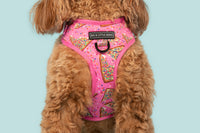 ADJUSTABLE DOG HARNESS: Pink Fairy Bread {FINAL SALE}
