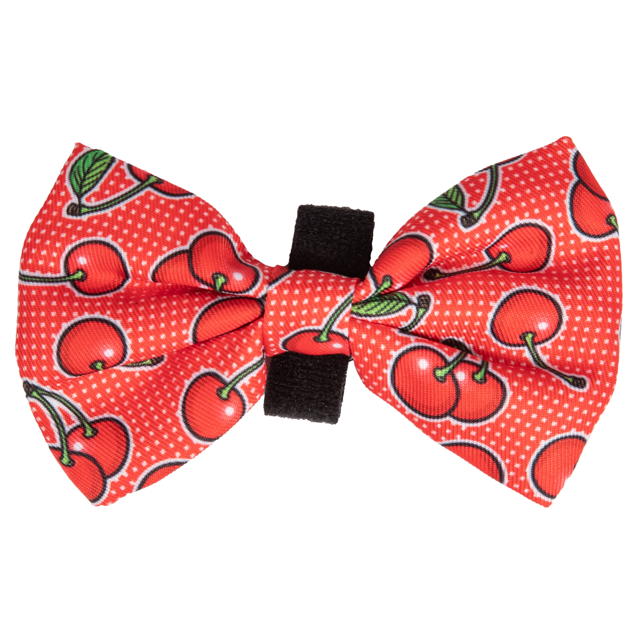 DOG COLLAR & BOW TIE: Cherrylicious {FINAL SALE}