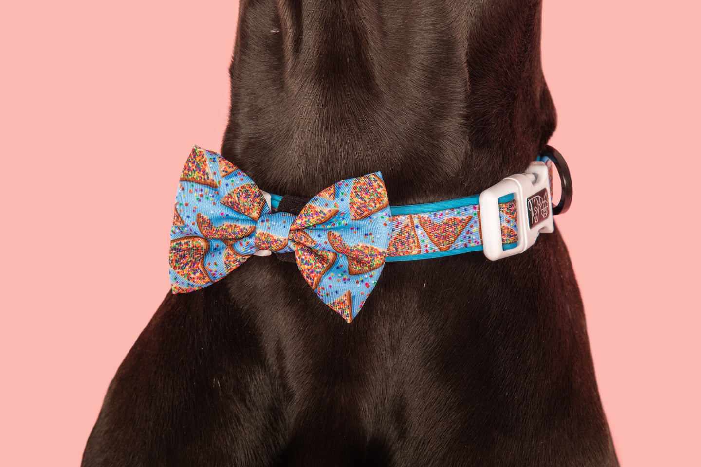DOG COLLAR & BOW TIE: Blue Fairy Bread {FINAL SALE}