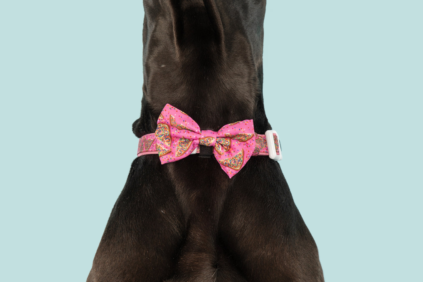 DOG COLLAR & BOW TIE: Pink Fairy Bread {FINAL SALE}