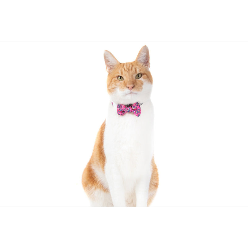 Cat Collar and Bow Tie Flutterly Fab