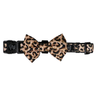 Dog Collar and Bow Tie Luxurious Leopard