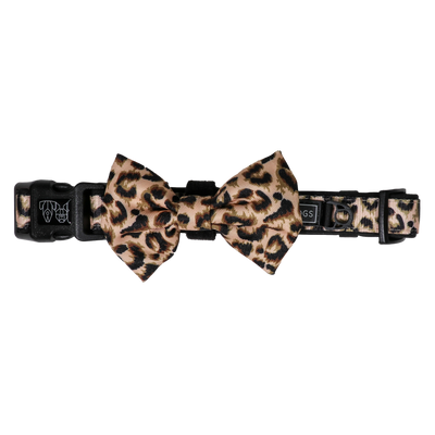 Dog Collar and Bow Tie Luxurious Leopard