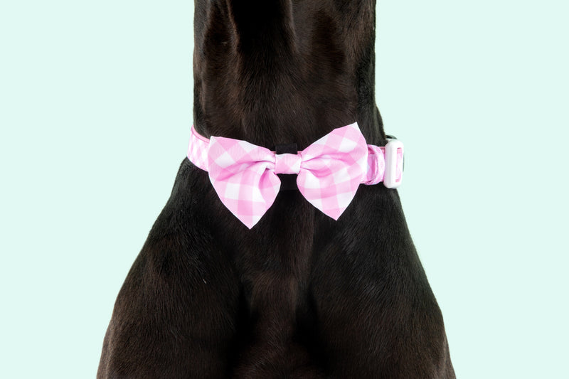 Dog Collar and Bow Time Pretty Pink Gingham