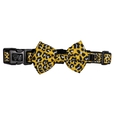 Dog Comfort Collar and Bow Tie Wild Thing Leopard