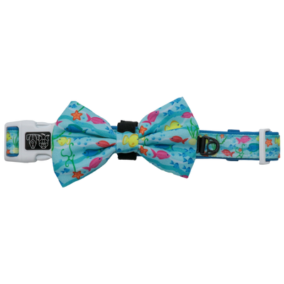 Dog Comfort Collar and Bow Tie You're A Catch