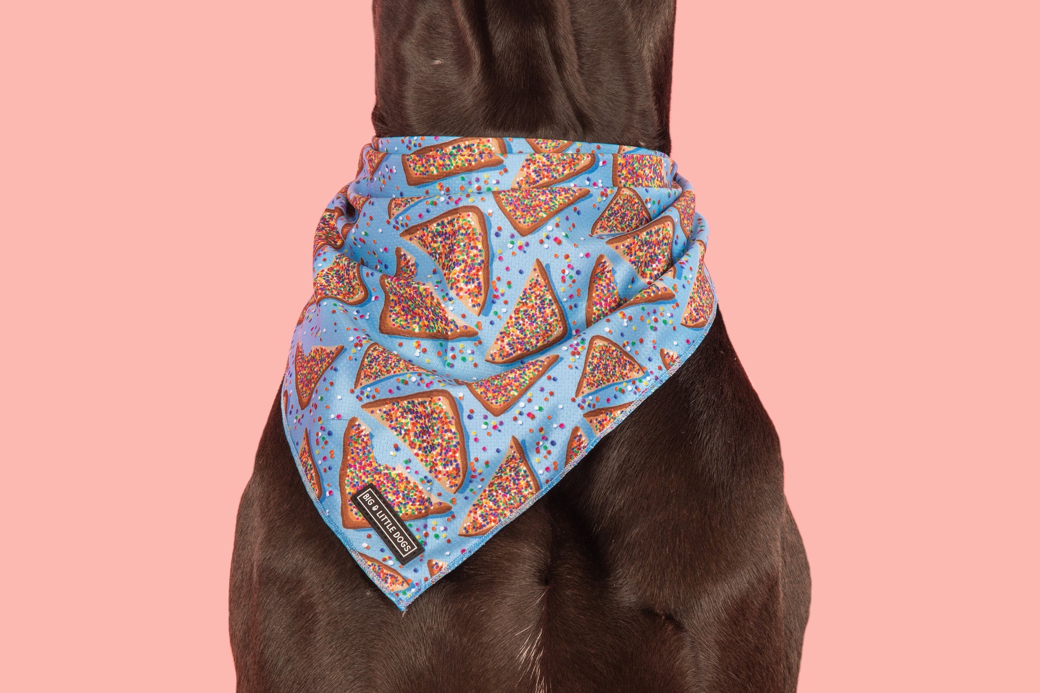DOG BANDANA: Blue Fairy Bread {FINAL SALE}