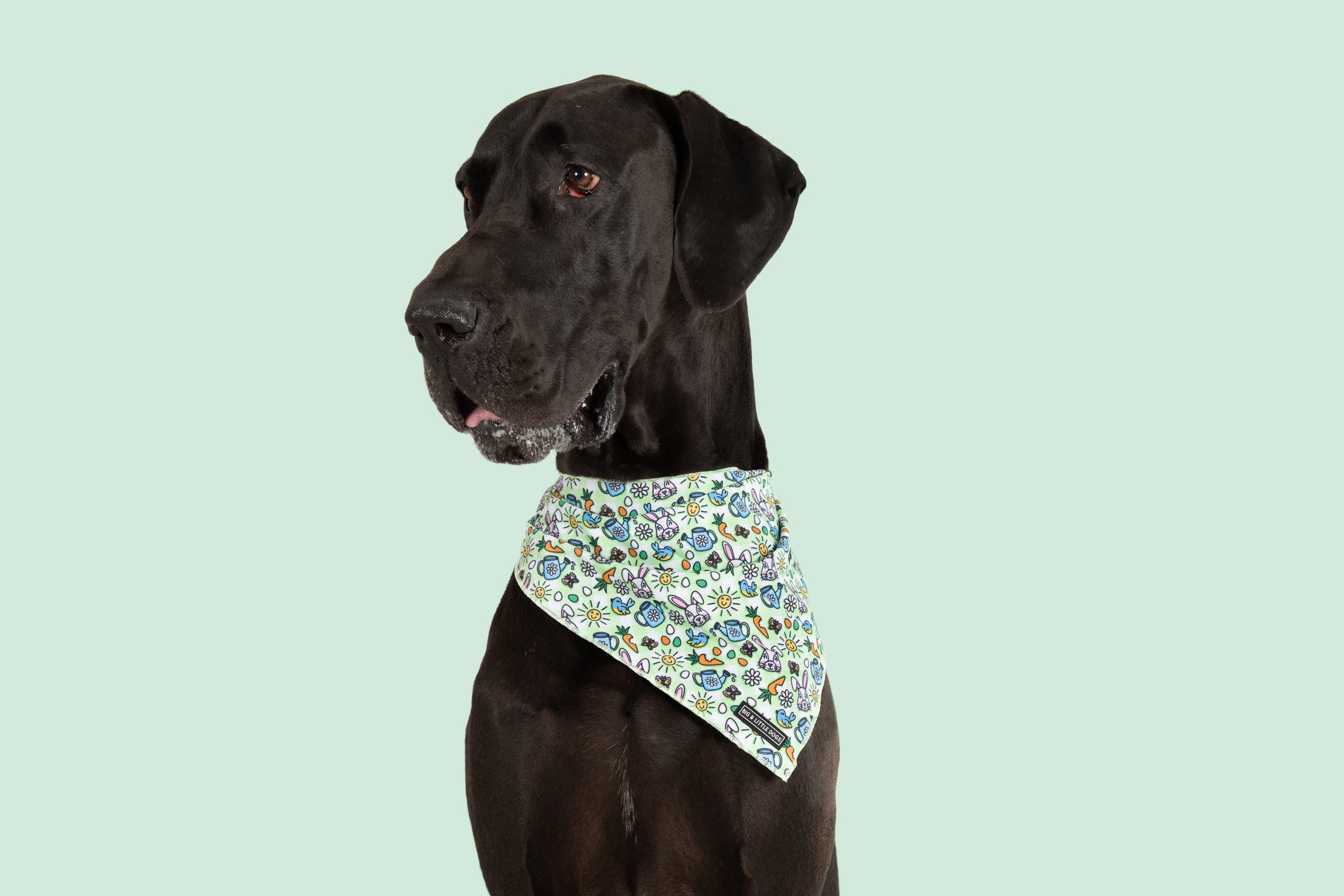 Dog Cooling Bandana Hey There Hop Stuff Easter Bunny Garden Carrot Eggs