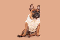 Corduroy Dog Vest in Sand colour