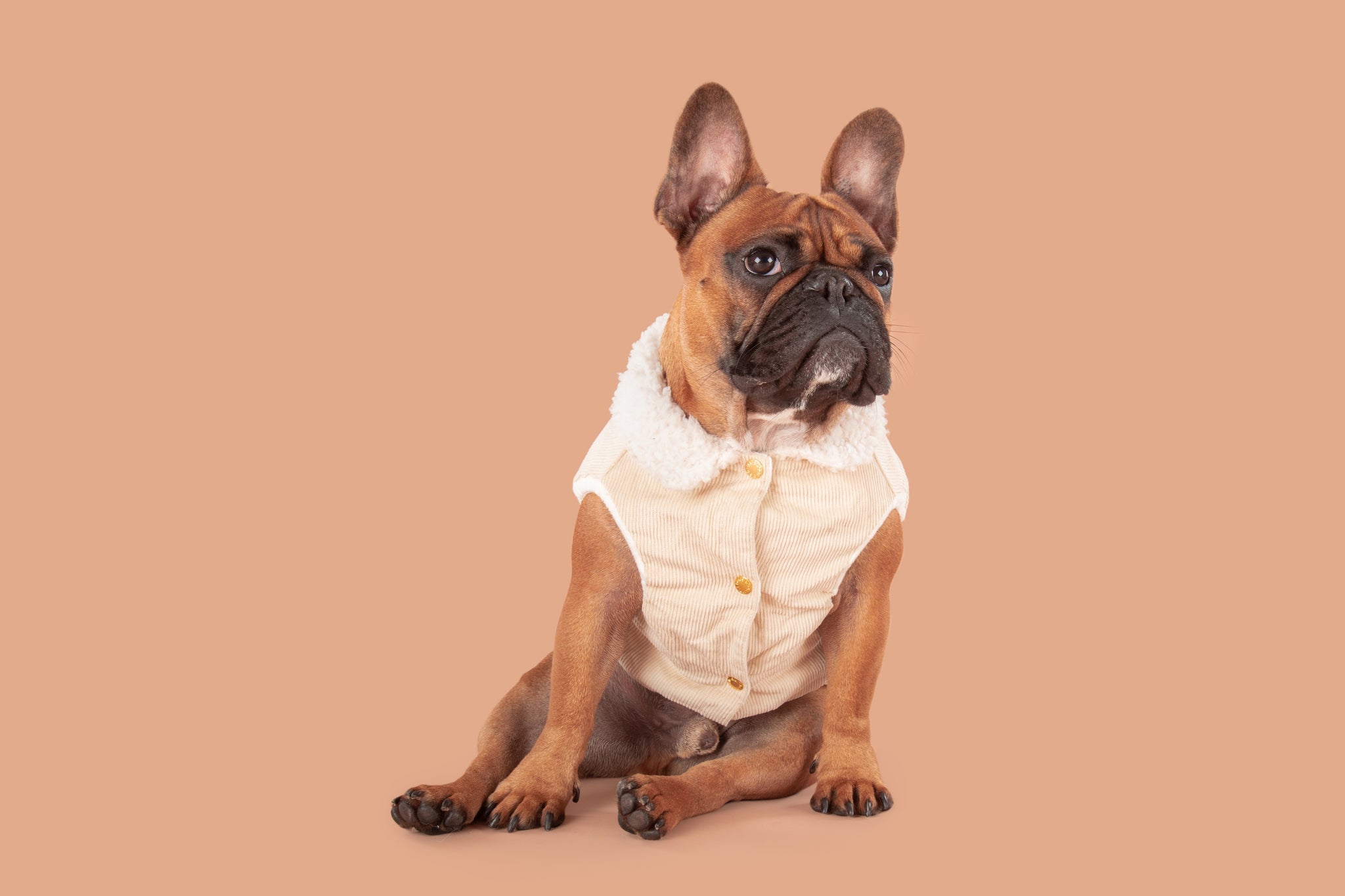 Corduroy Dog Vest in Sand colour