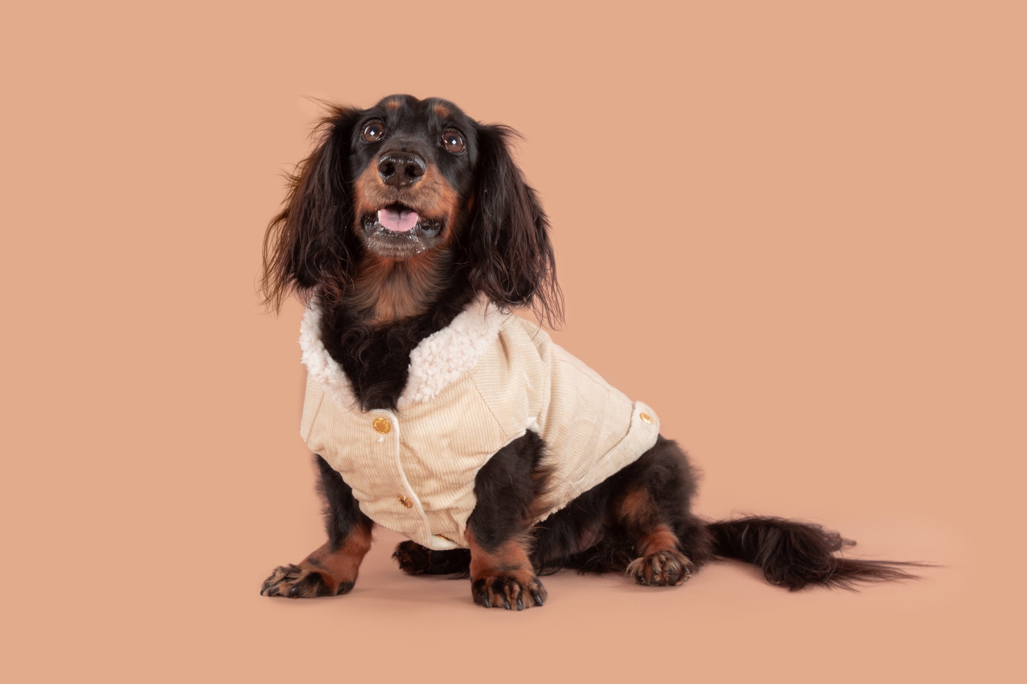 Corduroy Dog Vest in Sand colour