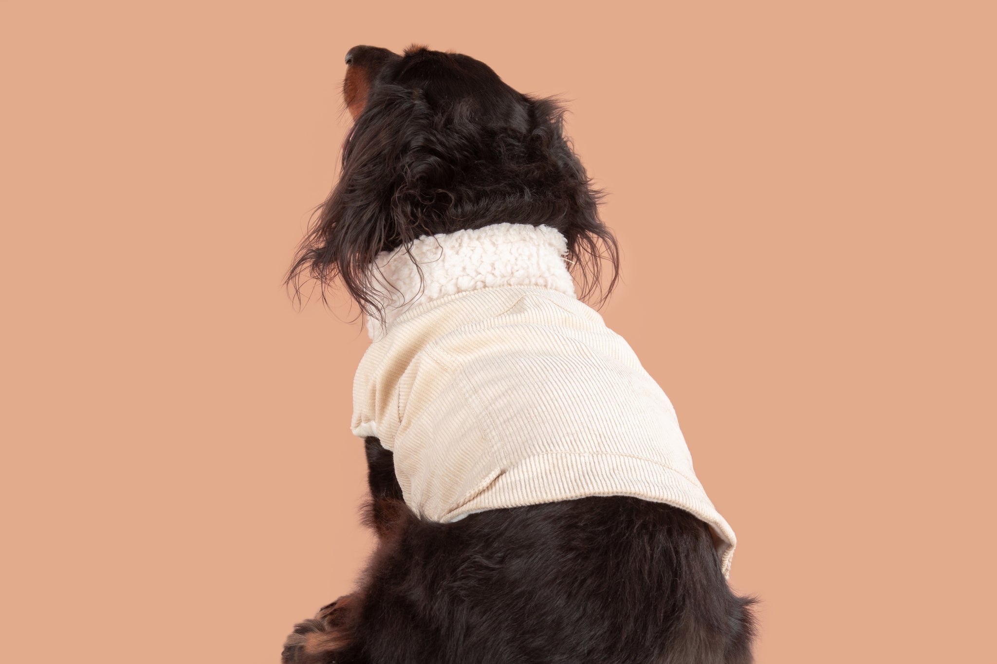 Corduroy Dog Vest in Sand colour