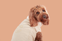 Corduroy Dog Vest in Sand colour