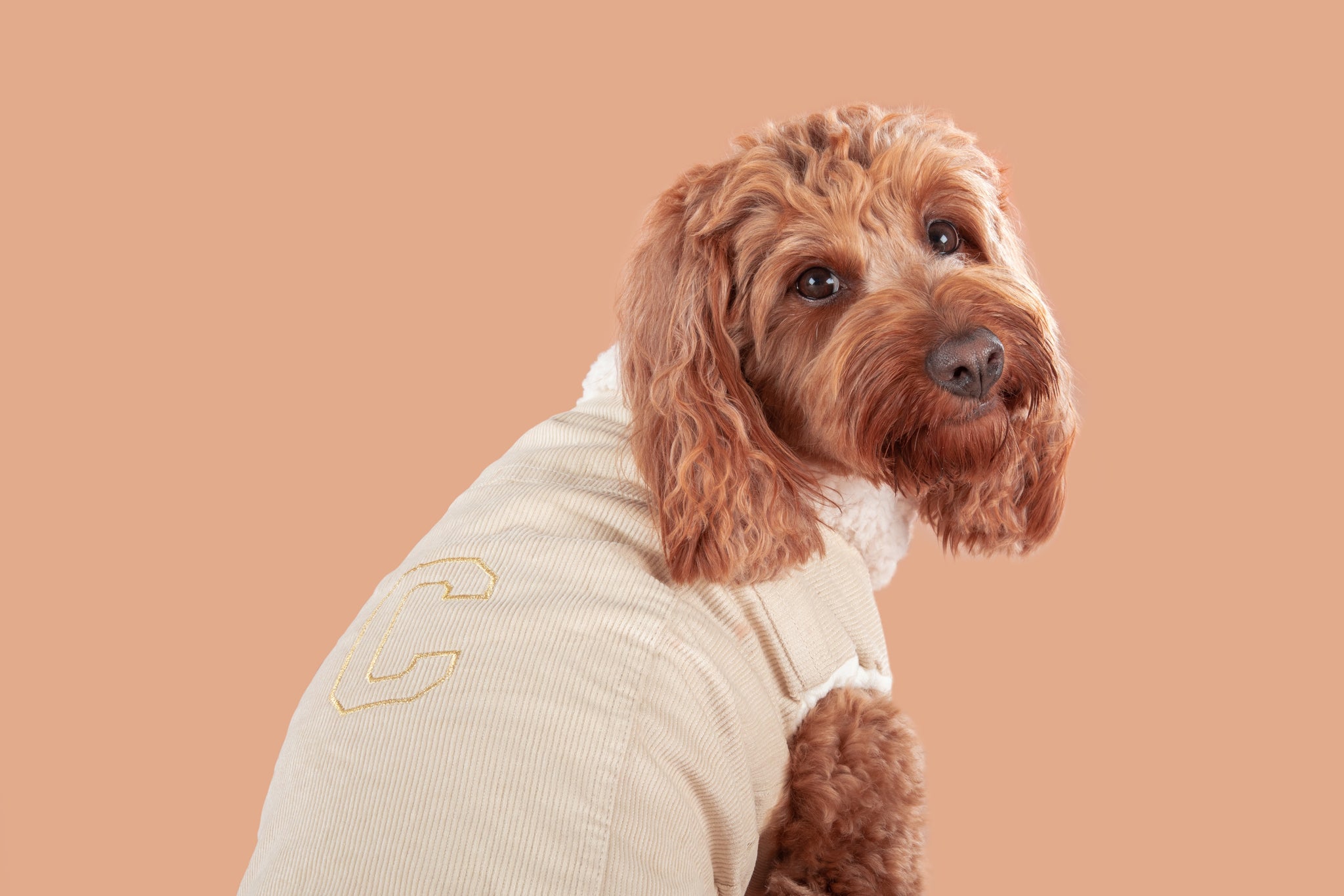 Corduroy Dog Vest in Sand colour