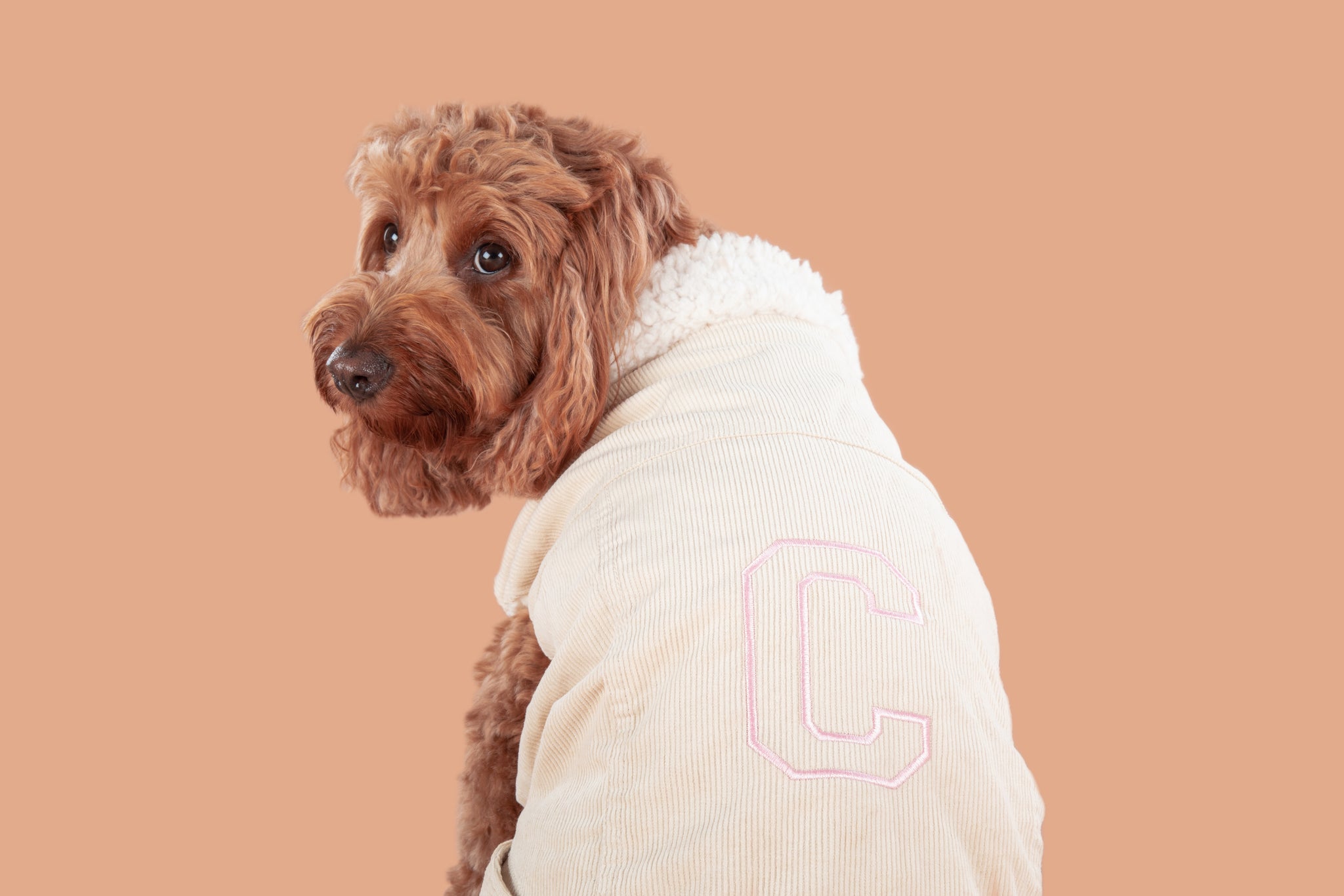 Corduroy Dog Vest in Sand colour