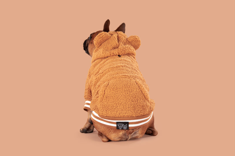 Teddy Dog Hoodie Jumper in Caramel Brown